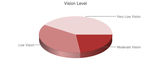 Pie chart showing vision level
