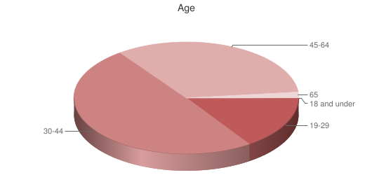 Pie chart showing respondents age