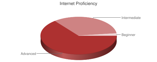 Pie Chart of Internet Proficiency