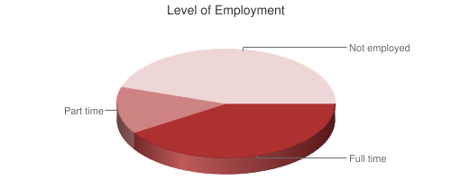 Pie Chart of Level of Employment