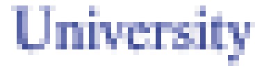 A pixelated image of the word 'university,' which is difficult to read
