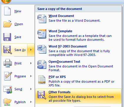 Screenshot of the 'Other Formats' option from the 'Save As' section.