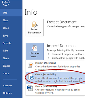 Screenshot of the 'Check Accessibility' option highlighted from the 'Check for Issues' section.