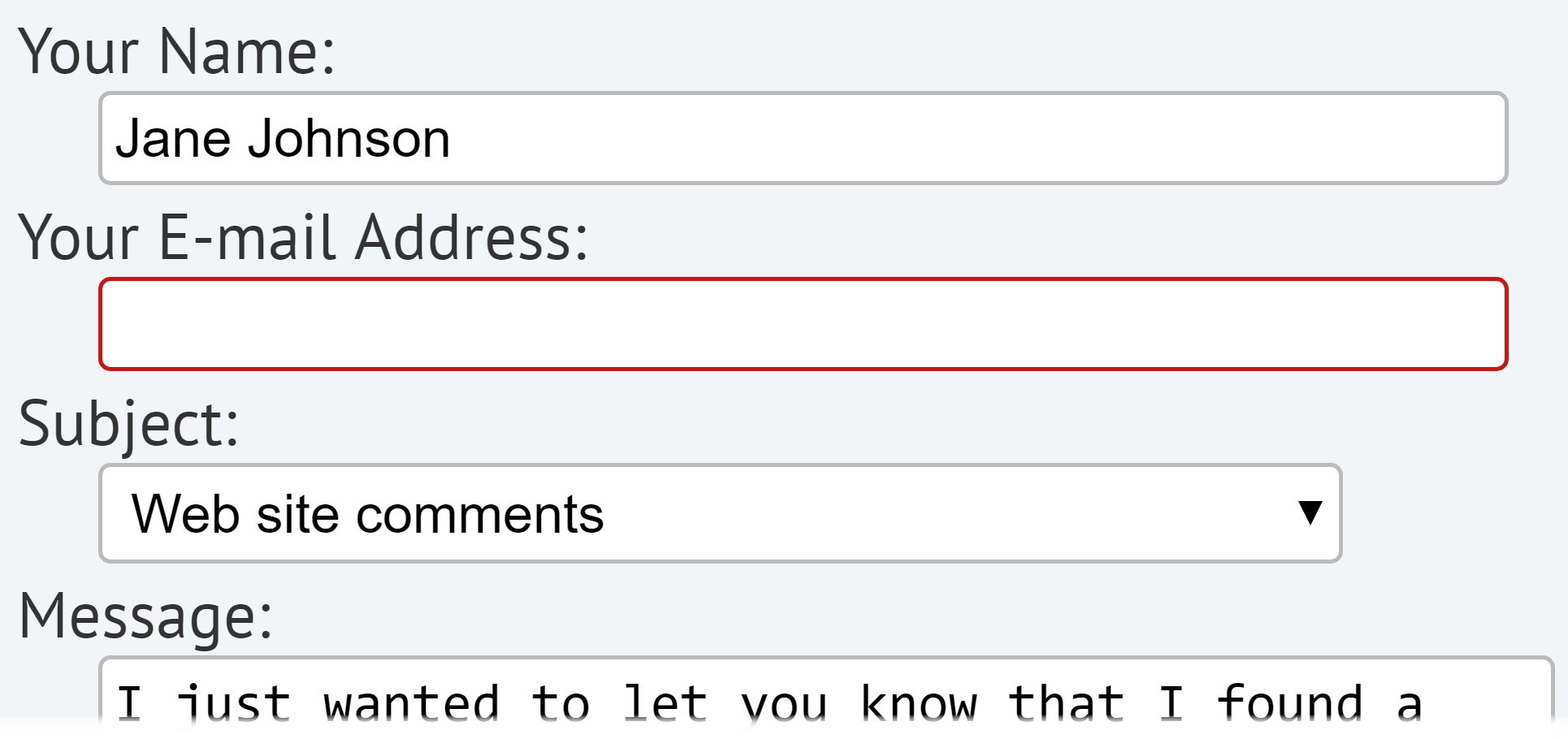 Screenshot of a form where the email address field has a red border, indicating there is an error.