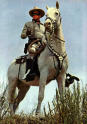 Photograph of the lone ranger on his horse