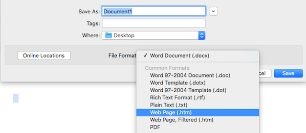 Screenshot of the 'Web Page' option selected from the 'File format' menu.