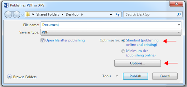 Screenshot of the 'Standard' option selected and highlighted in the 'Publish as PDF or XPS' dialog. The 'Options' button is also highlighted.